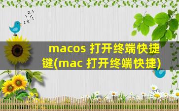 macos 打开终端快捷键(mac 打开终端快捷)